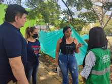 Por principio de solidaridad social, las colonias de gatos ferales deben ser respetadas