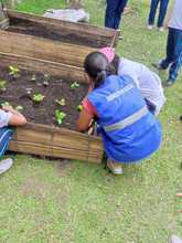 Caracterizados 90 comedores para el fomento de huertas comunitarias 