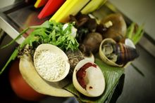 Estos son los expositores clasificados a la Muestra de Expresiones Tradicionales del Festival de M&uacute;sica del Pac&iacute;fico Petronio &Aacute;lvarez  