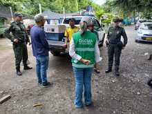 Rescatadas 19 iguanas de los traficantes de fauna   