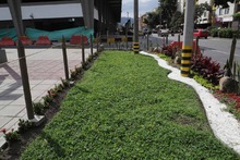 La Terminal de Transportes de Cali se embellece para mostrar su mejor cara a los turistas