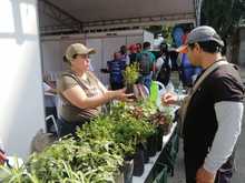 &lsquo;Gobierno al barrio&rsquo; llev&oacute; soluciones a los problemas ambientales del Primero de Mayo y toda la comuna 17