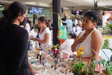 Todo un &eacute;xito la feria de emprendimiento y rueda de negocios verdes &lsquo;Cali Circular&rsquo;