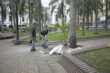 Reubican cestos de basura dentro de la Plaza de Cayzedo