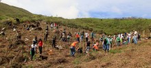 Cumplea&ntilde;os feliz para Cali con la siembra de 1.000 &aacute;rboles contra incendios