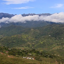Cumplea&ntilde;os feliz para Cali con la siembra de 1.000 &aacute;rboles contra incendios