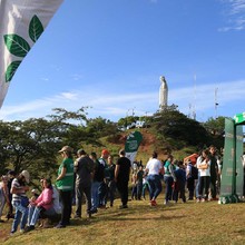 Cumplea&ntilde;os feliz para Cali con la siembra de 1.000 &aacute;rboles contra incendios