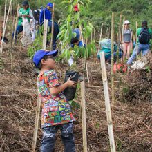 Cumplea&ntilde;os feliz para Cali con la siembra de 1.000 &aacute;rboles contra incendios