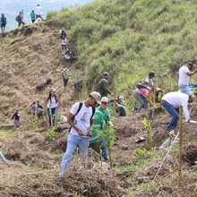 Cumplea&ntilde;os feliz para Cali con la siembra de 1.000 &aacute;rboles contra incendios
