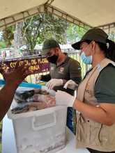 Petronio &Aacute;lvarez sin fauna silvestre en las comidas
