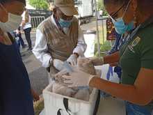 Petronio &Aacute;lvarez sin fauna silvestre en las comidas