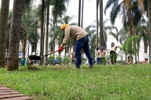 Con pasto esmeralda ponemos m&aacute;s bella la Plaza de Cayzedo