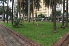 Con pasto esmeralda ponemos m&aacute;s bella la Plaza de Cayzedo