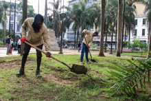 Con pasto esmeralda ponemos m&aacute;s bella la Plaza de Cayzedo