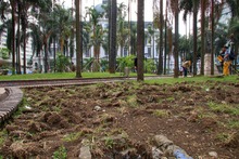 Con pasto esmeralda ponemos m&aacute;s bella la Plaza de Cayzedo