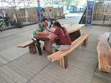 En Petronio cuidamos la flora silvestre