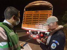 En Petronio cuidamos la flora silvestre