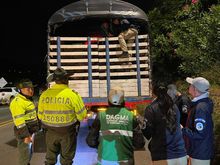 En Petronio cuidamos la flora silvestre