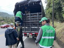 En Petronio cuidamos la flora silvestre