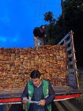 En Petronio cuidamos la flora silvestre