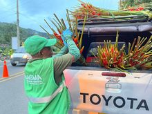 En Petronio cuidamos la flora silvestre