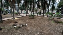 As&iacute; se imaginan los cale&ntilde;os la Plaza de Cayzedo renovada