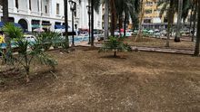 As&iacute; se imaginan los cale&ntilde;os la Plaza de Cayzedo renovada