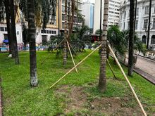 As&iacute; se imaginan los cale&ntilde;os la Plaza de Cayzedo renovada