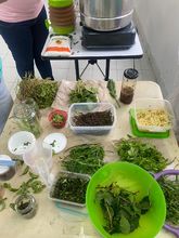 &iexcl;Habitantes de la comuna 3: a participar en el ciclo formativo ecol&oacute;gico!