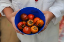 &ldquo;Ser negra significa hacer parte de una cultura que no tiene l&iacute;mites&rdquo;: docente de instituci&oacute;n etnoeducativa Crist&oacute;bal Col&oacute;n