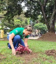 Sembrat&oacute;n en San Nicol&aacute;s: otra mirada a los espacios p&uacute;blicos de Cali