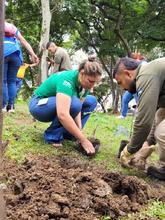 Sembrat&oacute;n en San Nicol&aacute;s: otra mirada a los espacios p&uacute;blicos de Cali