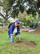 Sembrat&oacute;n en San Nicol&aacute;s: otra mirada a los espacios p&uacute;blicos de Cali