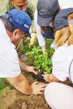 Sembrat&oacute;n en San Nicol&aacute;s: otra mirada a los espacios p&uacute;blicos de Cali