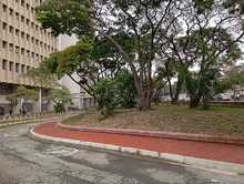 Culminan obras en la red peatonal del Parque Central r&iacute;o Cali