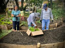 Calima, un barrio pionero en el aprovechamiento de residuos org&aacute;nicos 