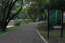 La vida que no vemos&rsquo;, exposici&oacute;n a la vista de todos 