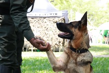 La Flora albergar&aacute; segunda gran &lsquo;Feria de Servicios en Seguridad&rsquo;