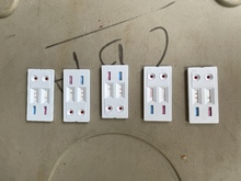 Decomisan caninos por deplorable estado de salud 