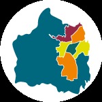 Bot&oacute;n_Cali_Distrito_Especial