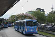 Organizaci&oacute;n del espacio p&uacute;blico dignificar&aacute; labor de vendedores informales