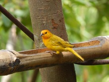 Rodeados de hadas, duendes, aves y coloridas mariposas, nuestros abuelos disfrutaron la zona rural de Cali