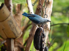 Rodeados de hadas, duendes, aves y coloridas mariposas, nuestros abuelos disfrutaron la zona rural de Cali