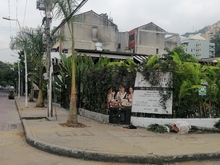 Buenas intenciones no bastan para intervenir el arbolado urbano