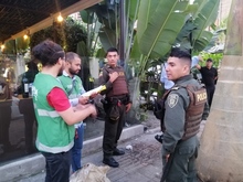 Buenas intenciones no bastan para intervenir el arbolado urbano