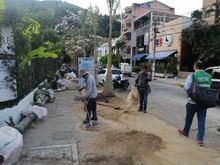Buenas intenciones no bastan para intervenir el arbolado urbano