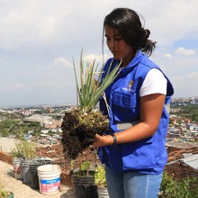 Comedores comunitarios se fortalecen con la instalaci&oacute;n de huertas urbanas 