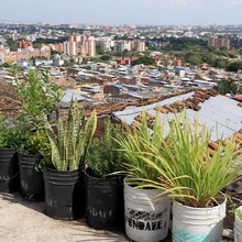 Comedores comunitarios se fortalecen con la instalaci&oacute;n de huertas urbanas 