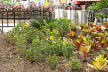 Cali avanza en la recuperaci&oacute;n de sus separadores viales