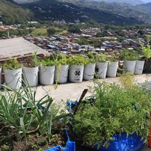 Habitantes de Silo&eacute; se benefician con iniciativas de huertas comunitarias 